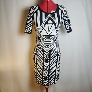 Pink Rose Black and White Long Sleeve Sweater Dress